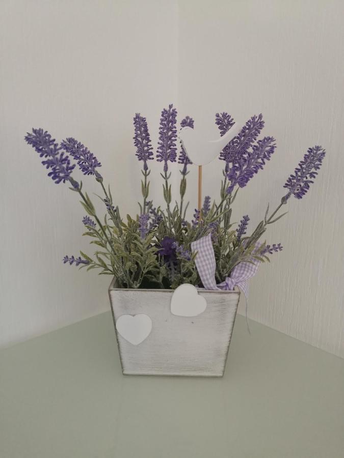 Ferienwohnung Lavanda Rust Bagian luar foto